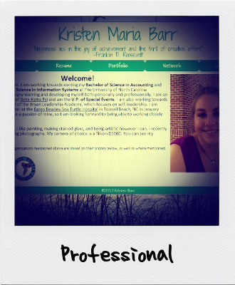 Professional Portfolio